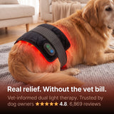 Nuzzlure™ Wireless Red Light Therapy Device for Dogs